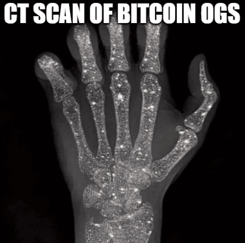Bitcoin OGs